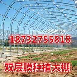 【双拱骨架双层膜温室大棚新春掀高潮双拱蔬菜大棚厂家】-